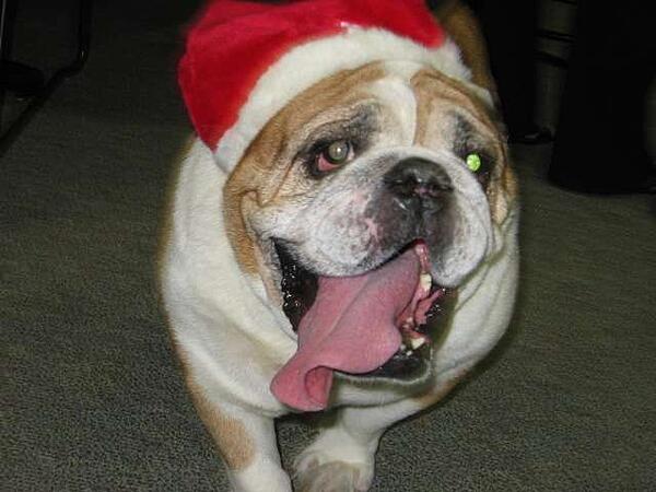 Santa Party, FrankCrum, Tilly