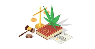 marijuana employment laws