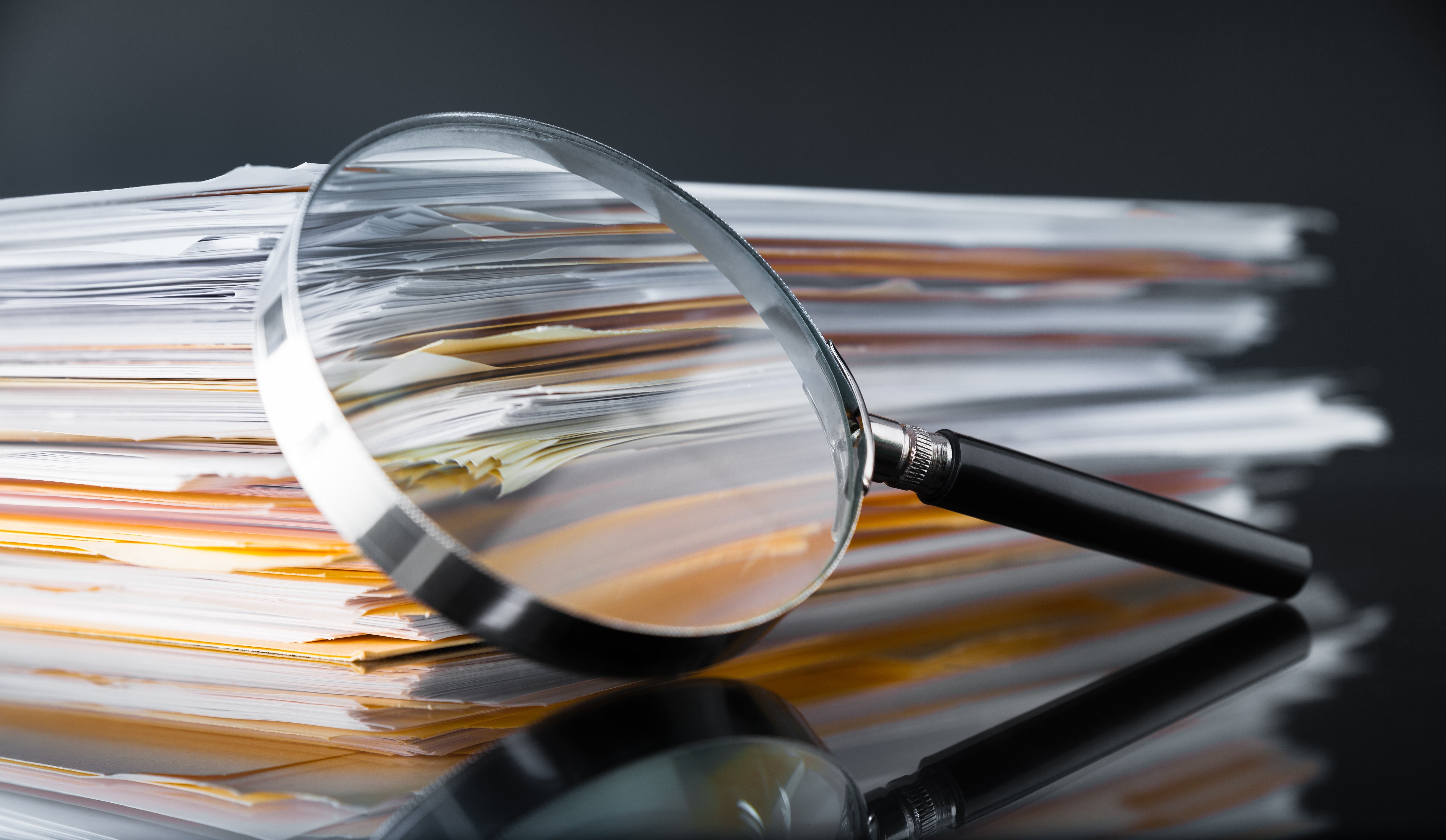How to Conduct an Effective Workplace Investigation [ Webinar]